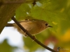 Filename=0067_fotowilga~0.JPG
Filesize=245KB
Dimensions=700x525
Date added=Feb 16, 2019 0067_fotowilga~0.JPG