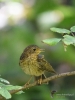 Filename=0067_fotowilga~1.JPG
Filesize=280KB
Dimensions=525x700
Date added=Dec 09, 2019 0067_fotowilga~1.JPG