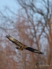 Filename=0067_fotowilga~58.JPG
Filesize=249KB
Dimensions=525x700
Date added=Feb 09, 2019 0067_fotowilga~58.JPG