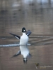 Filename=0069_fotowilga.JPG
Filesize=251KB
Dimensions=525x700
Date added=Feb 07, 2019 0069_fotowilga.JPG