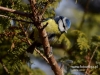 Filename=006_fotowilga~33.JPG
Filesize=107KB
Dimensions=640x480
Date added=Feb 28, 2017 006_fotowilga~33.JPG