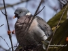 Filename=006_fotowilga~37.JPG
Filesize=87KB
Dimensions=640x480
Date added=Mar 20, 2017 006_fotowilga~37.JPG