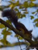 Filename=006_fotowilga~48.JPG
Filesize=232KB
Dimensions=525x700
Date added=Dec 02, 2017 006_fotowilga~48.JPG