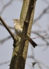 Filename=006_fotowilga~53.JPG
Filesize=214KB
Dimensions=499x700
Date added=Feb 26, 2018 006_fotowilga~53.JPG