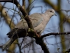 Filename=006_fotowilga~54.JPG
Filesize=237KB
Dimensions=700x525
Date added=Mar 18, 2018 006_fotowilga~54.JPG