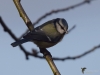 Filename=006_fotowilga~62.JPG
Filesize=202KB
Dimensions=700x525
Date added=Jan 21, 2019 006_fotowilga~62.JPG