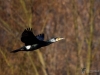 Filename=006_fotowilga~63.JPG
Filesize=236KB
Dimensions=700x525
Date added=Feb 09, 2019 006_fotowilga~63.JPG
