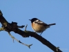 Filename=006_fotowilga~69.JPG
Filesize=209KB
Dimensions=700x525
Date added=Oct 28, 2019 006_fotowilga~69.JPG
