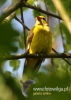 Filename=00710_fotowilga~4.JPG
Filesize=75KB
Dimensions=343x480
Date added=Jun 22, 2015 00710_fotowilga~4.JPG
