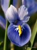 Filename=00728_fotowilga~3.JPG
Filesize=267KB
Dimensions=525x700
Date added=Oct 12, 2019 00728_fotowilga~3.JPG