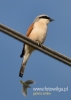 Filename=00758_fotowilga~5.JPG
Filesize=59KB
Dimensions=343x480
Date added=Jul 19, 2016 00758_fotowilga~5.JPG