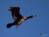 Filename=0075_fotowilga~45.JPG
Filesize=196KB
Dimensions=700x525
Date added=Dec 06, 2017 0075_fotowilga~45.JPG