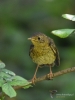 Filename=0076_fotowilga~0.JPG
Filesize=271KB
Dimensions=525x700
Date added=Aug 19, 2019 0076_fotowilga~0.JPG