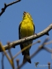 Filename=0077_fotowilga~0.JPG
Filesize=212KB
Dimensions=525x700
Date added=Feb 28, 2019 0077_fotowilga~0.JPG
