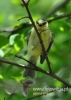 Filename=007_fotowilga~19.JPG
Filesize=74KB
Dimensions=343x480
Date added=Sep 21, 2015 007_fotowilga~19.JPG