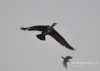 Filename=007_fotowilga~25.JPG
Filesize=47KB
Dimensions=640x457
Date added=Mar 19, 2016 007_fotowilga~25.JPG