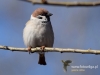 Filename=007_fotowilga~42.JPG
Filesize=60KB
Dimensions=640x480
Date added=Mar 26, 2017 007_fotowilga~42.JPG