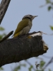 Filename=007_fotowilga~44.JPG
Filesize=204KB
Dimensions=525x700
Date added=May 24, 2017 007_fotowilga~44.JPG