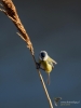 Filename=007_fotowilga~55.JPG
Filesize=186KB
Dimensions=525x700
Date added=Feb 09, 2018 007_fotowilga~55.JPG