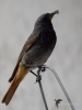 Filename=007_fotowilga~56.JPG
Filesize=199KB
Dimensions=525x700
Date added=Feb 10, 2018 007_fotowilga~56.JPG