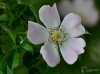 Filename=007_fotowilga~58.JPG
Filesize=242KB
Dimensions=700x519
Date added=Mar 23, 2018 007_fotowilga~58.JPG