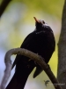 Filename=007_fotowilga~60.JPG
Filesize=215KB
Dimensions=525x700
Date added=May 01, 2018 007_fotowilga~60.JPG