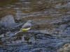Filename=007_fotowilga~61.JPG
Filesize=331KB
Dimensions=700x525
Date added=May 04, 2018 007_fotowilga~61.JPG