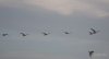 Filename=007_fotowilga~76.JPG
Filesize=114KB
Dimensions=700x382
Date added=Nov 27, 2019 007_fotowilga~76.JPG