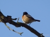 Filename=007_fotowilga~77.JPG
Filesize=202KB
Dimensions=700x525
Date added=Dec 02, 2019 007_fotowilga~77.JPG