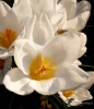 Filename=00830_fotowilga.JPG
Filesize=269KB
Dimensions=608x700
Date added=Aug 11, 2019 00830_fotowilga.JPG