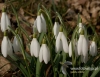 Filename=00849_fotowilga~4.JPG
Filesize=110KB
Dimensions=621x480
Date added=Mar 21, 2017 00849_fotowilga~4.JPG