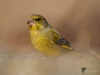 Filename=0084_fotowilga.JPG
Filesize=205KB
Dimensions=700x525
Date added=Jul 21, 2019 0084_fotowilga.JPG
