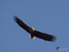 Filename=0084_fotowilga~72.JPG
Filesize=195KB
Dimensions=700x525
Date added=Oct 08, 2019 0084_fotowilga~72.JPG