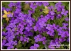 Filename=008_fotowilga~14.JPG
Filesize=134KB
Dimensions=640x467
Date added=May 23, 2015 008_fotowilga~14.JPG