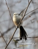 Filename=008_fotowilga~24.JPG
Filesize=73KB
Dimensions=377x480
Date added=Mar 05, 2016 008_fotowilga~24.JPG
