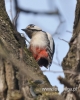 Filename=008_fotowilga~26.JPG
Filesize=81KB
Dimensions=384x480
Date added=Mar 28, 2016 008_fotowilga~26.JPG