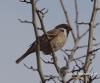 Filename=008_fotowilga~31.JPG
Filesize=62KB
Dimensions=576x480
Date added=Dec 02, 2016 008_fotowilga~31.JPG