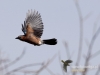Filename=008_fotowilga~34.JPG
Filesize=48KB
Dimensions=640x480
Date added=Mar 04, 2017 008_fotowilga~34.JPG