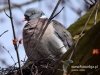 Filename=008_fotowilga~36.JPG
Filesize=94KB
Dimensions=640x480
Date added=Mar 20, 2017 008_fotowilga~36.JPG