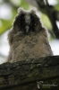 Filename=008_fotowilga~41.JPG
Filesize=243KB
Dimensions=466x700
Date added=Jun 06, 2017 008_fotowilga~41.JPG