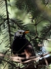 Filename=008_fotowilga~44.JPG
Filesize=287KB
Dimensions=525x700
Date added=Oct 21, 2017 008_fotowilga~44.JPG