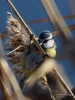 Filename=008_fotowilga~49.JPG
Filesize=248KB
Dimensions=525x700
Date added=Feb 23, 2018 008_fotowilga~49.JPG