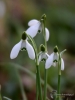 Filename=008_fotowilga~52.JPG
Filesize=212KB
Dimensions=525x700
Date added=Apr 16, 2018 008_fotowilga~52.JPG