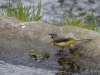 Filename=008_fotowilga~55.JPG
Filesize=316KB
Dimensions=700x525
Date added=May 04, 2018 008_fotowilga~55.JPG