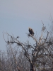Filename=008_fotowilga~65.JPG
Filesize=295KB
Dimensions=525x700
Date added=May 27, 2019 008_fotowilga~65.JPG