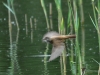 Filename=008_fotowilga~67.JPG
Filesize=247KB
Dimensions=700x525
Date added=Jul 17, 2019 008_fotowilga~67.JPG