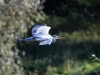 Filename=008_fotowilga~68.JPG
Filesize=232KB
Dimensions=700x525
Date added=Nov 01, 2019 008_fotowilga~68.JPG