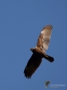 Filename=0091_fotowilga.JPG
Filesize=186KB
Dimensions=525x700
Date added=Feb 27, 2019 0091_fotowilga.JPG