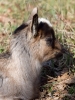 Filename=0091_fotowilga~65.JPG
Filesize=346KB
Dimensions=525x700
Date added=Jun 25, 2019 0091_fotowilga~65.JPG