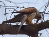 Filename=0095_fotowilga.JPG
Filesize=258KB
Dimensions=700x525
Date added=Apr 24, 2019 0095_fotowilga.JPG